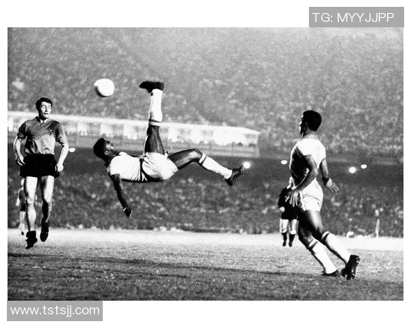 姓丝的足球明星们在绿茵场上的传奇故事与辉煌成就揭秘 姓丝的足球明星们在绿茵场上的传奇故事与辉煌成就揭秘