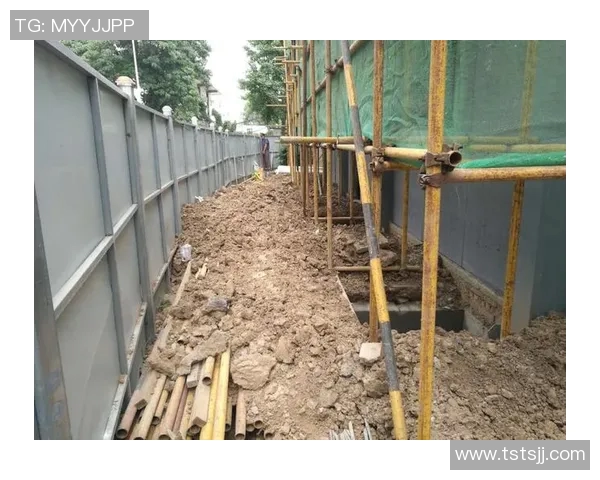 体育馆场地安全管理制度建设的全面提升与实施路径探讨