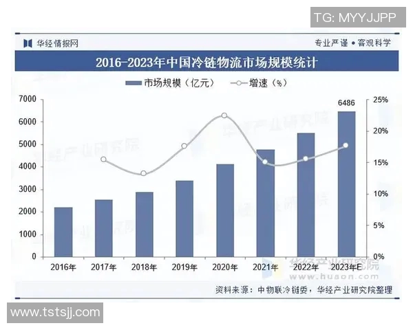 探索英国欧美E0的市场潜力与发展趋势分析